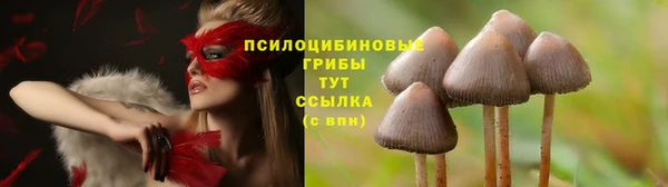 таблы Арсеньев